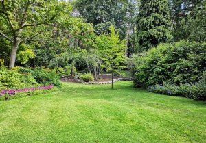 Optimiser l'expérience du jardin à Franclens